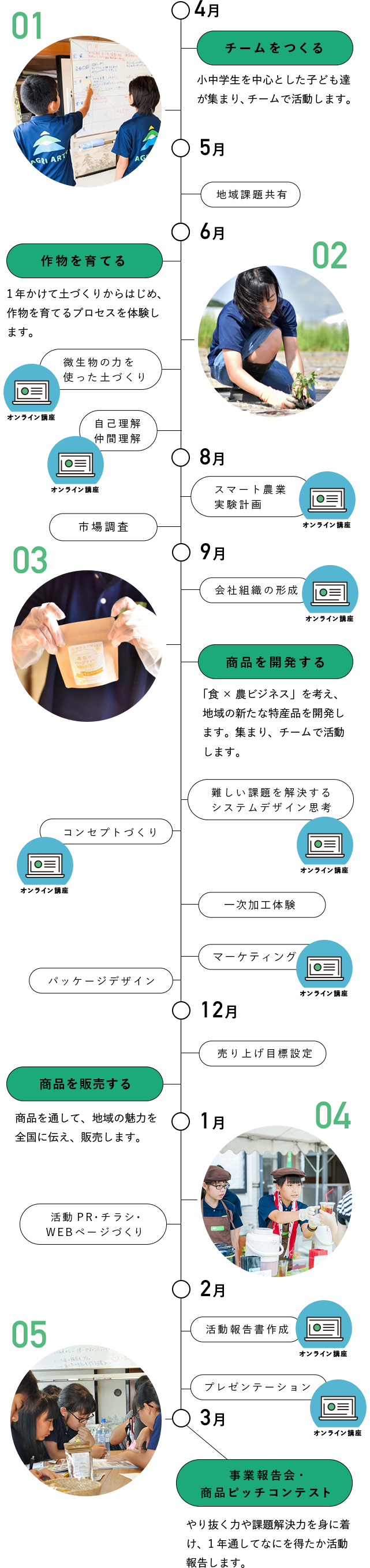 年間活動チャート